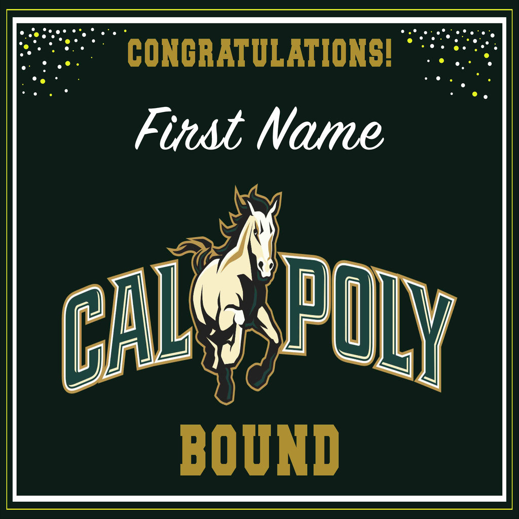 Cal Poly State University 24x24 (College Bound)